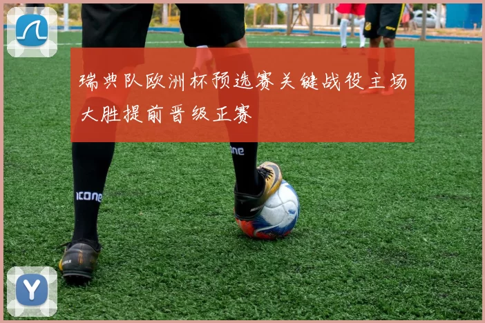 瑞典队欧洲杯预选赛关键战役主场大胜提前晋级正赛