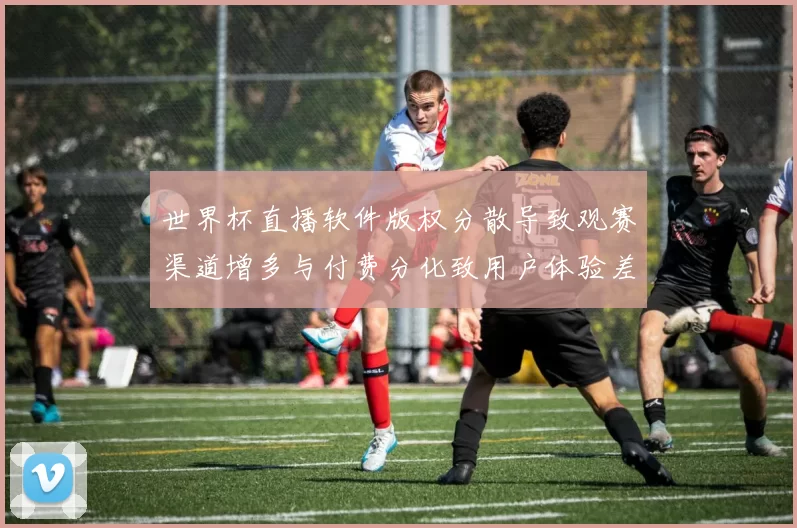 世界杯直播软件版权分散导致观赛渠道增多与付费分化致用户体验差异