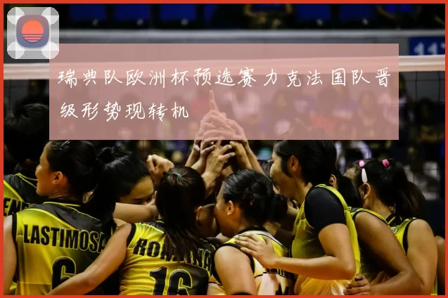 瑞典队欧洲杯预选赛力克法国队晋级形势现转机