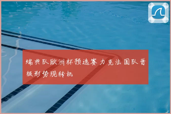 瑞典队欧洲杯预选赛力克法国队晋级形势现转机